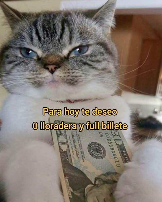 Mis mejores deseos forever mis #QueridosFollowers