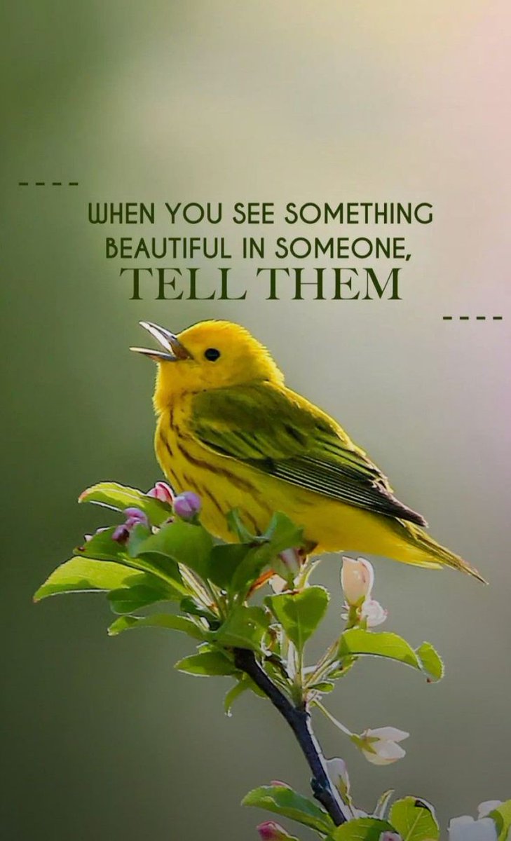 POSITIVITY (@positivitysaid) on Twitter photo 