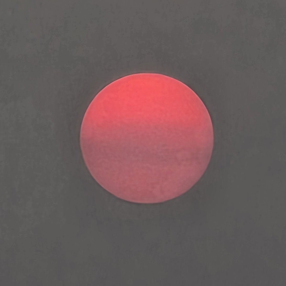 GGSoFly's tweet image. 🔴