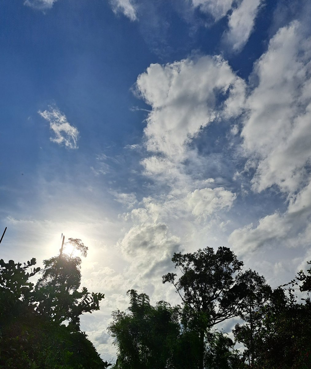 Alucien_Channel's tweet photo. 🌫☀ #SkytoLucien https://t.co/uIQql5HVJP