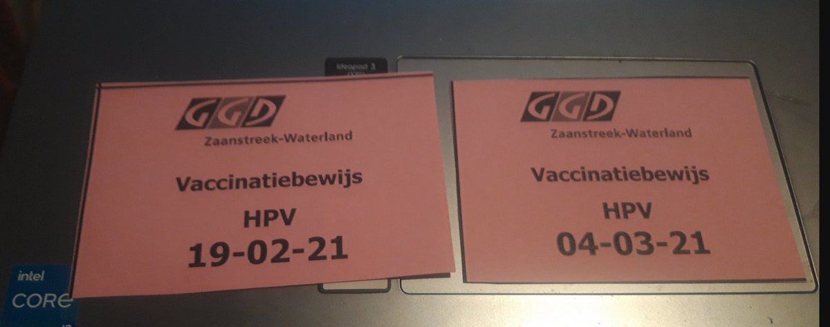 sepa tamer tweet media