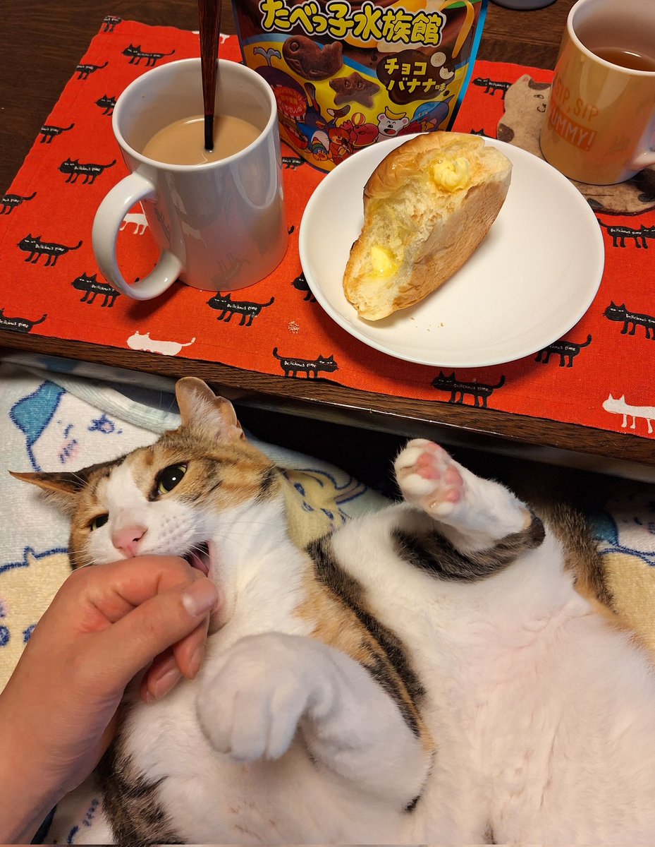 ちぎりパンたべました