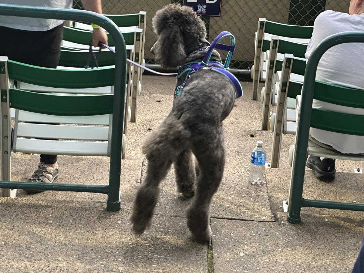 craig (@mlbbestbets) on Twitter photo ⚾️ 157 2025
<a href="/BadlandsBigStix/">Badlands Big Sticks</a> / <a href="/ecexpress/">Eau Claire Express</a>
My 5th Northwoods League game this year
Glad to be back in Eau Claire where it’s dog night, Express win 6-4 in rain shortened game
<a href="/KingcougarMike/">Mike Casiano</a> <a href="/eddiesofficials/">Tike Narry</a> <a href="/rstones199/">Cowboys4Life</a> <a href="/royaltytoursusa/">Gary Herman</a> <a href="/JohnnyKamen/">Johnny kamen</a> ⚾️ 157 2025
<a href="/BadlandsBigStix/">Badlands Big Sticks</a> / <a href="/ecexpress/">Eau Claire Express</a>
My 5th Northwoods League game this year
Glad to be back in Eau Claire where it’s dog night, Express win 6-4 in rain shortened game
<a href="/KingcougarMike/">Mike Casiano</a> <a href="/eddiesofficials/">Tike Narry</a> <a href="/rstones199/">Cowboys4Life</a> <a href="/royaltytoursusa/">Gary Herman</a> <a href="/JohnnyKamen/">Johnny kamen</a>