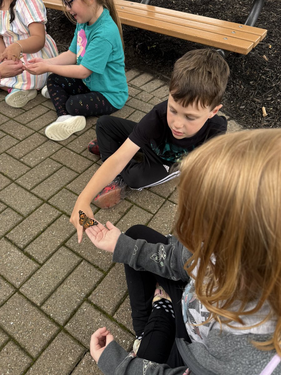 teachthinklearn's tweet photo. Our butterflies are free! 🦋 https://t.co/mfvSsPfimZ
