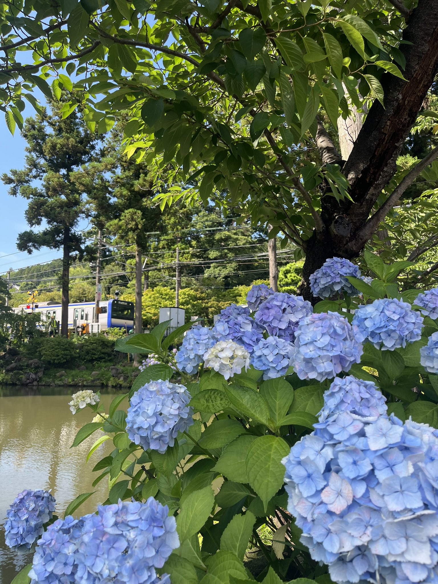 かまくら❣️✨フォロー割開催中✨ kamakura - Search / X