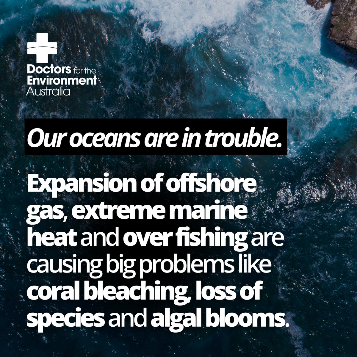 🌊 Clean &amp; healthy oceans are essential for all life on earth. Sadly, human activities are threatening the health of our oceans.  

The good news is, there are many ways we can help the ocean recover. Join our webinar tomorrow to learn how we can protect &amp; restore ocean health.