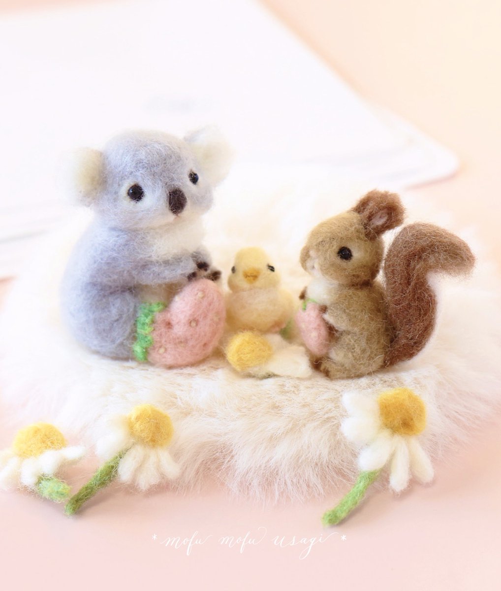 coco_mirumiru tweet picture