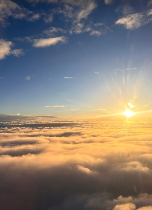 dichasial blighted
Enjoy the afterglow of the sun