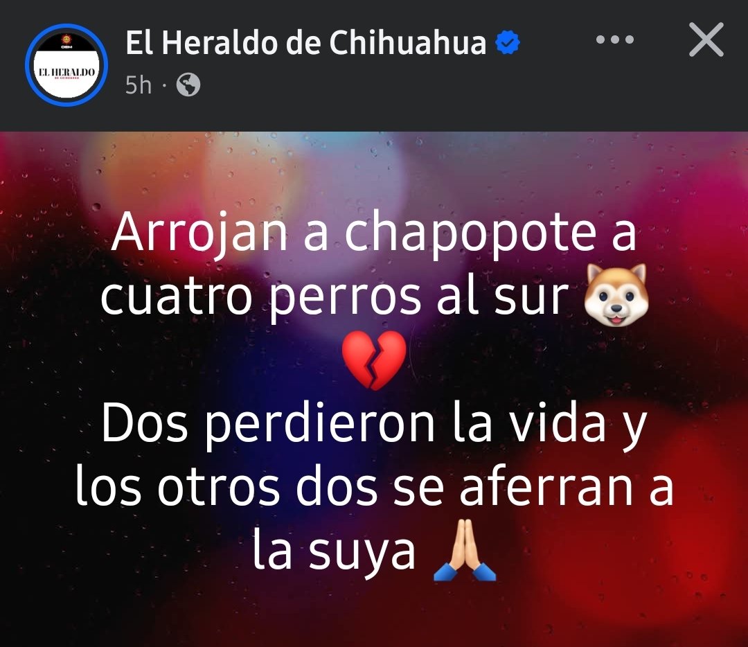 ¿Otra vez? ¿Qué verga les pasa? Putos pendejos, ojala y los doxeen para ir a quemarles el cantón con bombas molotov.