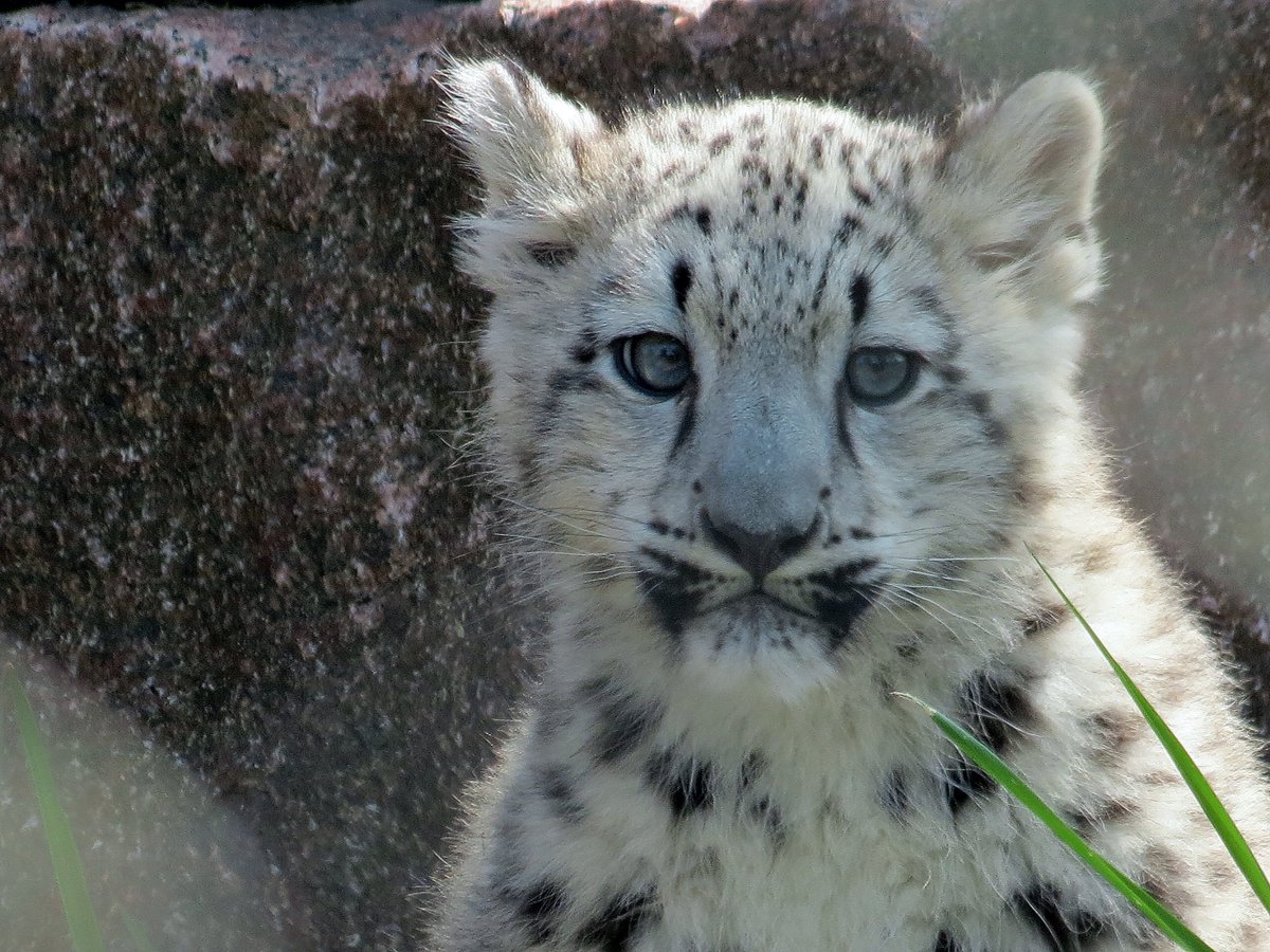 do you support his political beliefs