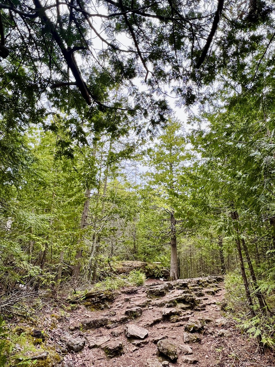 the_mobius_cat's tweet photo. Это мы на Bruce Peninsula ездили, сейчас дома уже 🌱 https://t.co/wHHkGzKe4Q