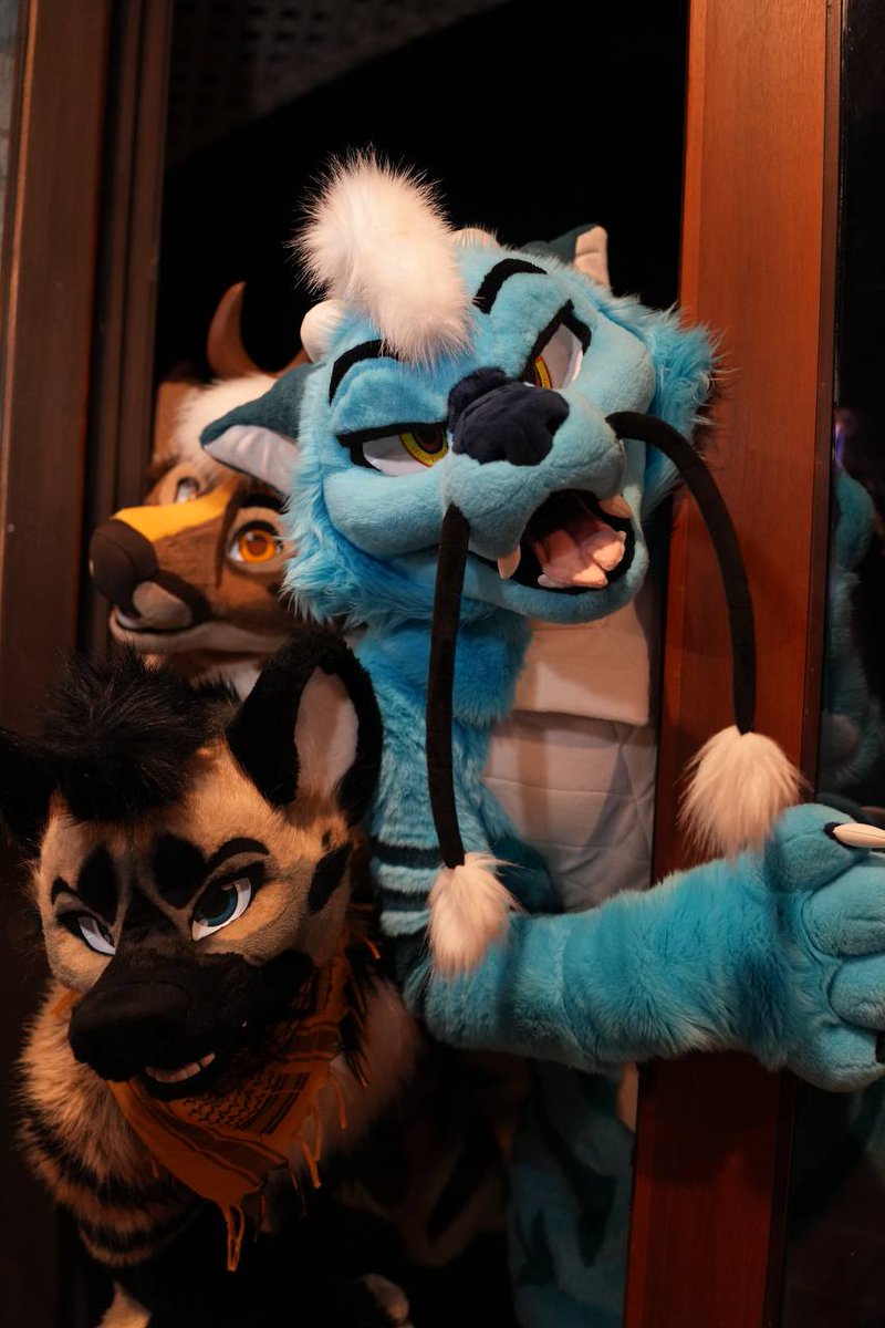 ๐จGolden Wuffle๐จ (@ardynwolf) on Twitter photo โWe heard you shake the food bag! So whatcha cookin good lookin?โ
๐ <a href="/XilinxDerg/">Xil ๐ MPLX</a>
๐ฆ <a href="/ParsecIsOP/">Parsec ๐ฆ MP</a>
๐ธ <a href="/LunlunFox/">LunLunFox</a> โWe heard you shake the food bag! So whatcha cookin good lookin?โ
๐ <a href="/XilinxDerg/">Xil ๐ MPLX</a>
๐ฆ <a href="/ParsecIsOP/">Parsec ๐ฆ MP</a>
๐ธ <a href="/LunlunFox/">LunLunFox</a>