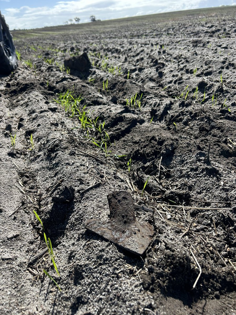 Remnants of a past age