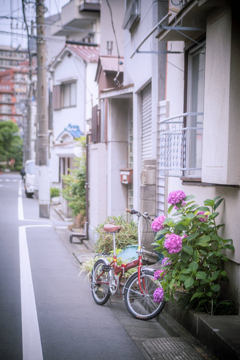 新しくお迎えした Angenieux Zoom 45-90mm f2.8 (Leica Rマウント