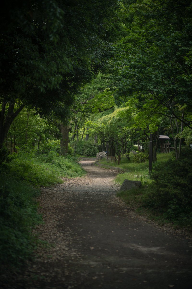 新しくお迎えした Angenieux Zoom 45-90mm f2.8 (Leica Rマウント