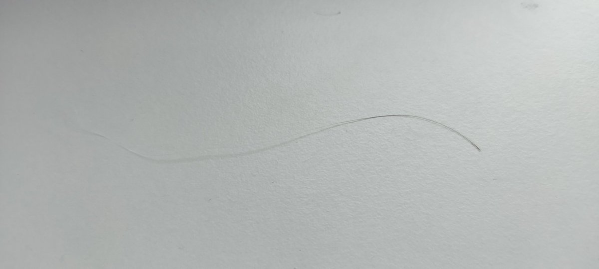 Obsideye's tweet photo. I just found a hair that is white on the ends aND BLACK ON THE ROOTS??

MY HAIR IS UN-GREYING?! https://t.co/I3XFlYaLSL
