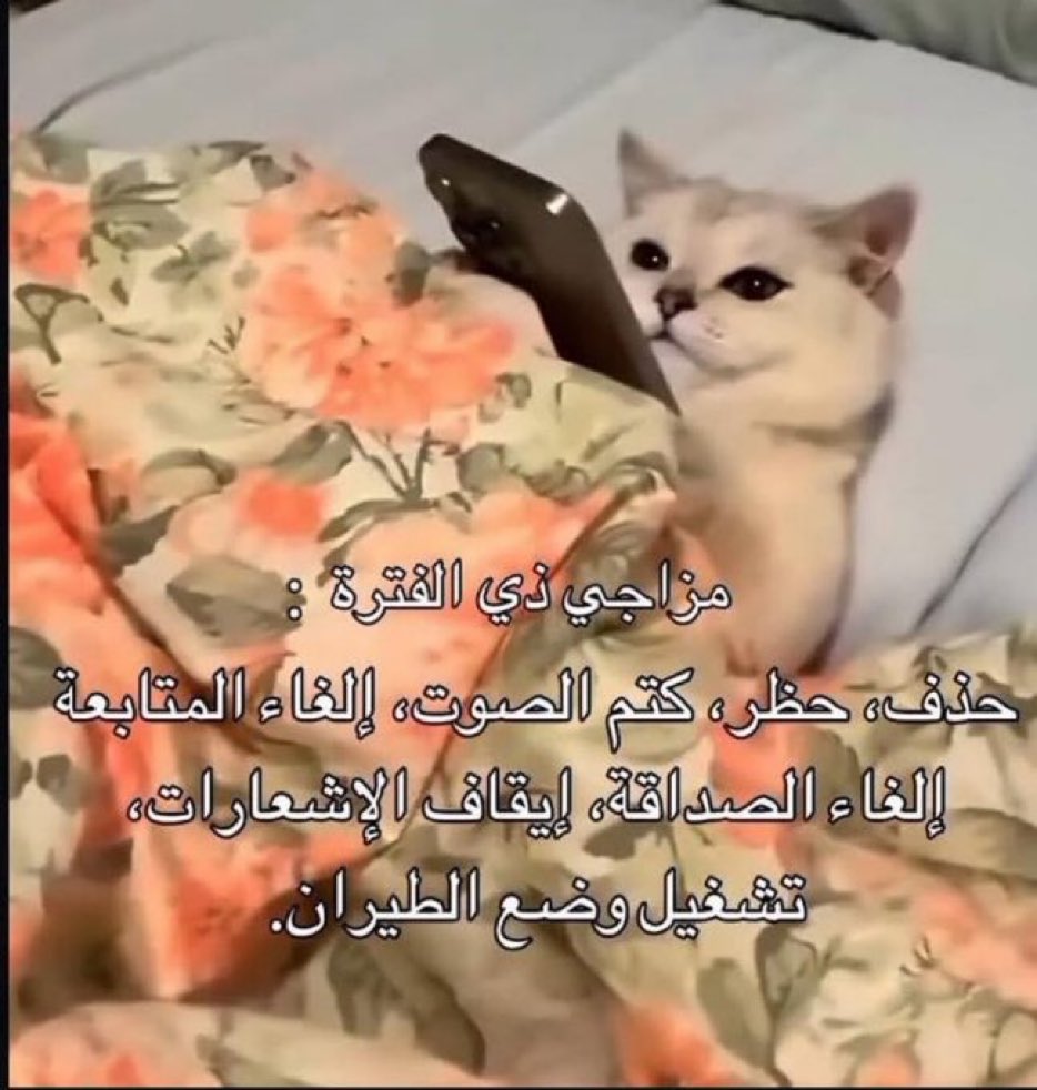MemesOficiial's tweet photo. https://t.co/a2g85TgBsA