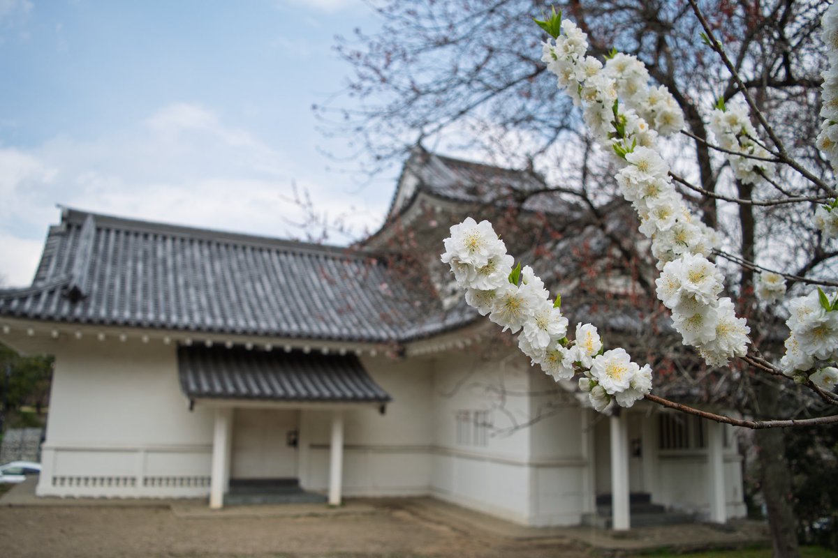 Sebastian Nehrdich tweet media
