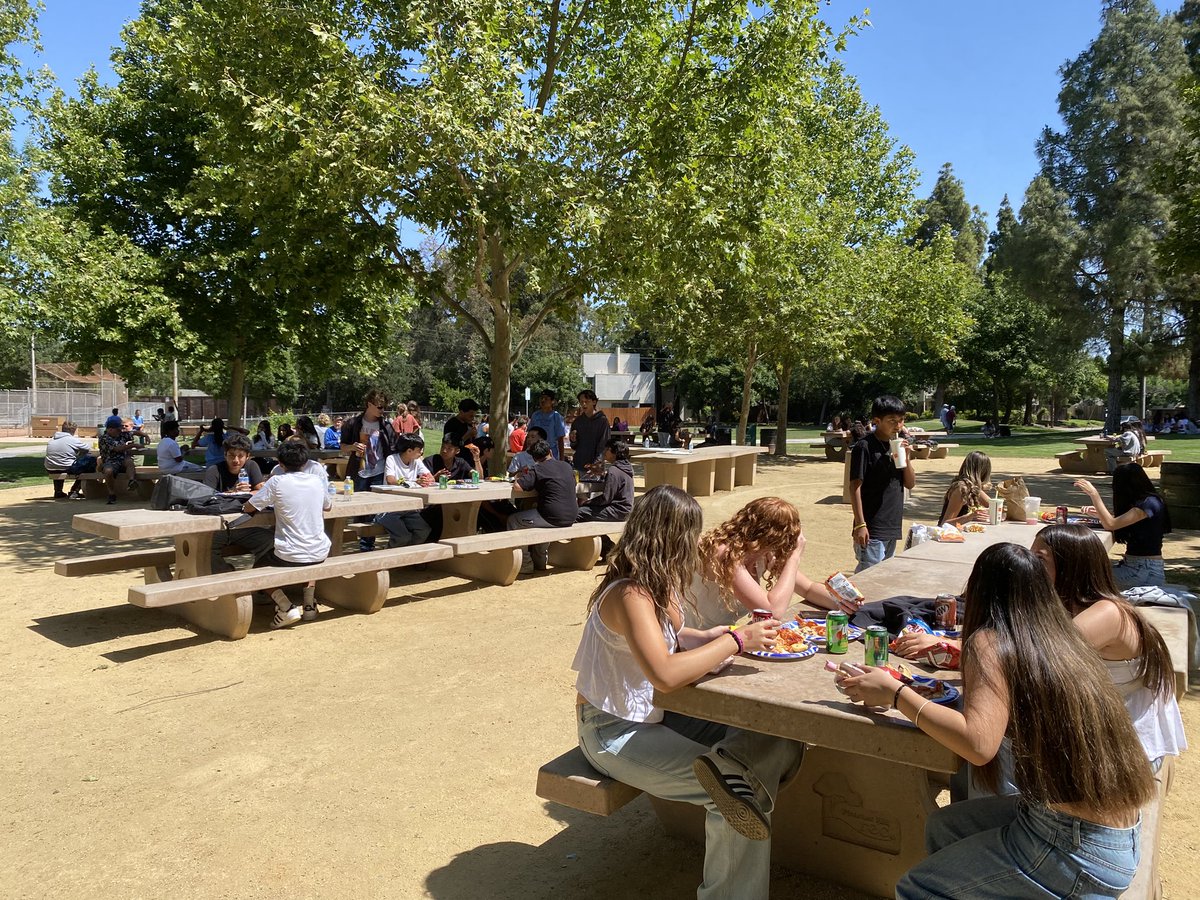 Carolyn Hull tweet media