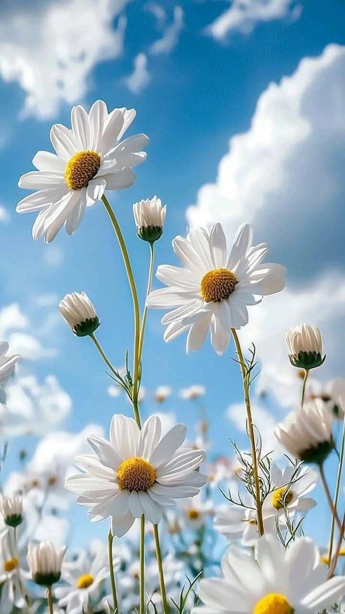 beautiful_pic2's tweet image. 