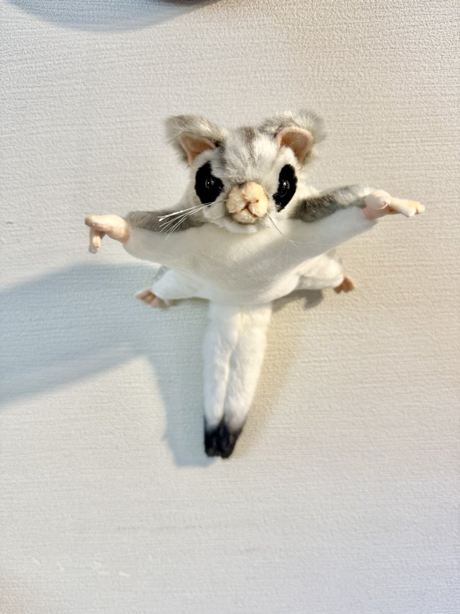 ルルイエにモモンガあげたら誕生日プレゼントにモモンガ帰ってきた…(笑)