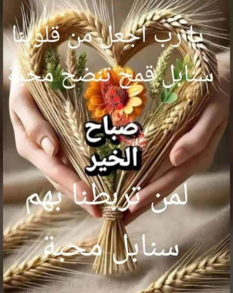 صباح الخير يا حلوين 🙋🏻‍♂️❤️🌹 

بتمنالكن نهار حلو متلكن ❤️

#صباح_الخير 
#صباح_الخير_والسعادة