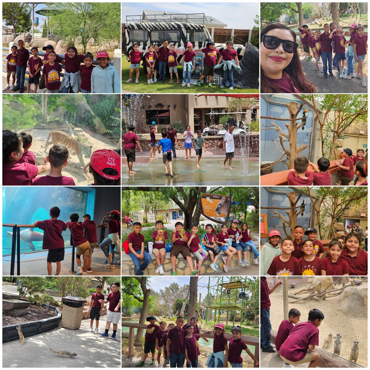 Jazmin Montanez (@jmontanez_hes) on Twitter photo Learning goes far beyond the four walls of our classroom. We had a wonderful time at <a href="/elpasozoo/">The El Paso Zoo</a> last Friday. Thank you for having us!
<a href="/Hueco_ES/">Greg M Hatch</a> <a href="/SocorroISD/">Socorro ISD</a> #ALLIN #WelcomeToTheSolarSystem Learning goes far beyond the four walls of our classroom. We had a wonderful time at <a href="/elpasozoo/">The El Paso Zoo</a> last Friday. Thank you for having us!
<a href="/Hueco_ES/">Greg M Hatch</a> <a href="/SocorroISD/">Socorro ISD</a> #ALLIN #WelcomeToTheSolarSystem