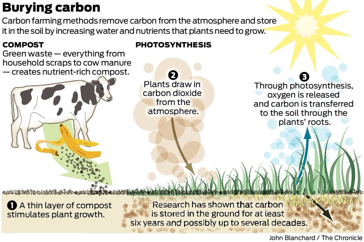 TNIAMProject's tweet photo. Carbon Farming
Environmental Specialist
@Worldbank @WorldBankWater @WBPubs @WorldBankIndia @tamilnadu_wrd @WBG_Climate @WBG_Environment
#ClimateChange
#GlobalWarming
#Carbonfootprint
#Biodiversity
#Resilienceplanning
#Soilhealth
#Planthealth
#WaterQuality
#Climateregulation
#Sustainabledevelopment
#Pollutionfree
#Pollutionimpacts