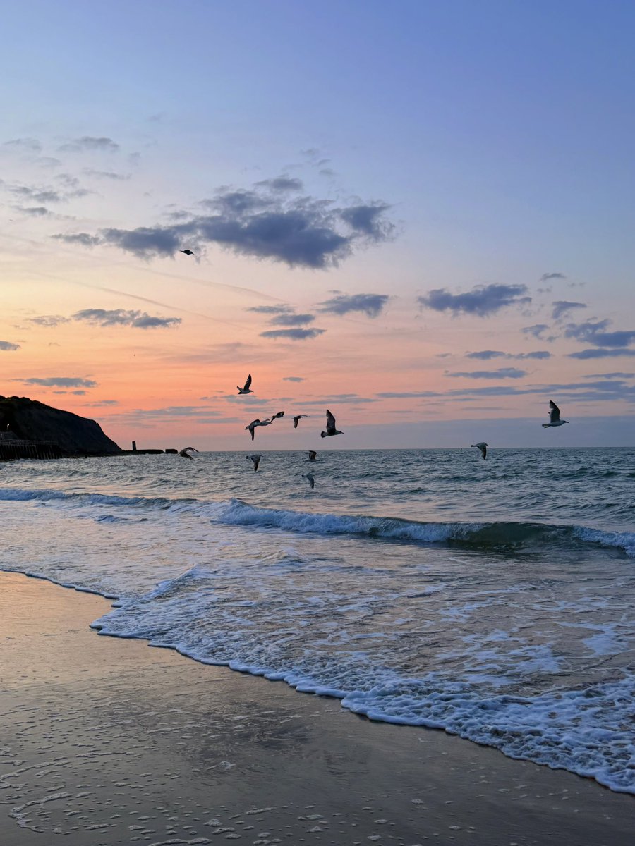Good Morning Beach Lovers 🌊🐚✨

Obsessed with the pretty pastel coloured skies today 🩵🩷💜