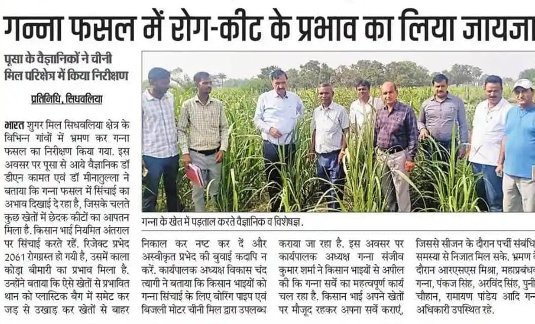 Sugarcane Industries Department, Bihar (@biharsugarcane) on Twitter photo गन्ना फसल में रोग कीट के प्रभाव का लिया जायजा।
<a href="/KNPaswanbjp/">krishnandan Paswan</a>
<a href="/IPRDBihar/">IPRD Bihar</a>
<a href="/Agribih/">Agriculture Department, Govt. of Bihar</a>
#BiharSugarcaneIndustriesDept गन्ना फसल में रोग कीट के प्रभाव का लिया जायजा।
<a href="/KNPaswanbjp/">krishnandan Paswan</a>
<a href="/IPRDBihar/">IPRD Bihar</a>
<a href="/Agribih/">Agriculture Department, Govt. of Bihar</a>
#BiharSugarcaneIndustriesDept