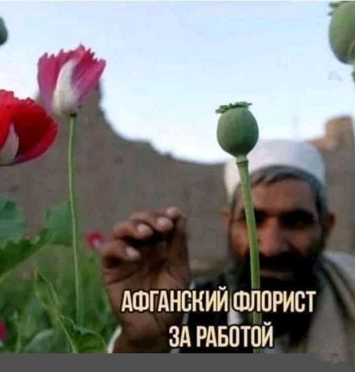 Sarjassamme 

"Mielenkiintoisia ammatteja" 

Afganistanilainen floristi työnsä ääressä.