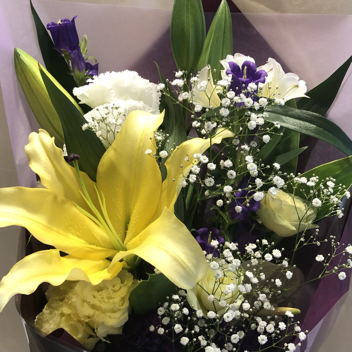 jaunemargaret's tweet image. 横アリ公演お疲れ様でした！！！
めちゃくちゃ楽しかったです🙌

楽屋花もグループ宛で
お贈りさせていただきました💐
紫色がかった暗闇の中で弾け飛ぶ
雷光のようなカラーイメージです＊°.

#MSSP #MSSPライブ  #MSSP横アリ
#MSSPサンダーボルトツアー
#MSSPフォト #MSSPアート