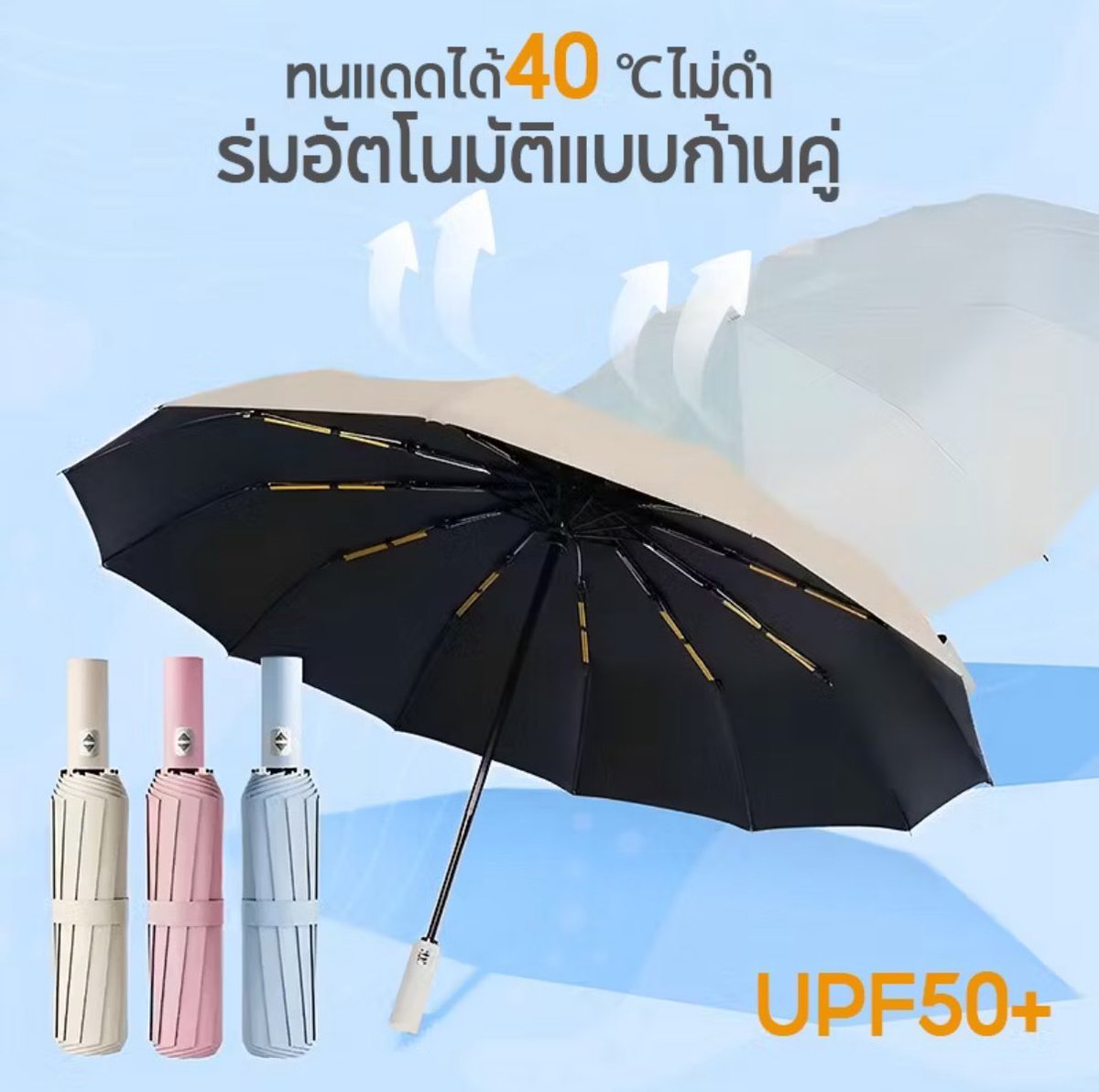 เอวา💐 tweet media