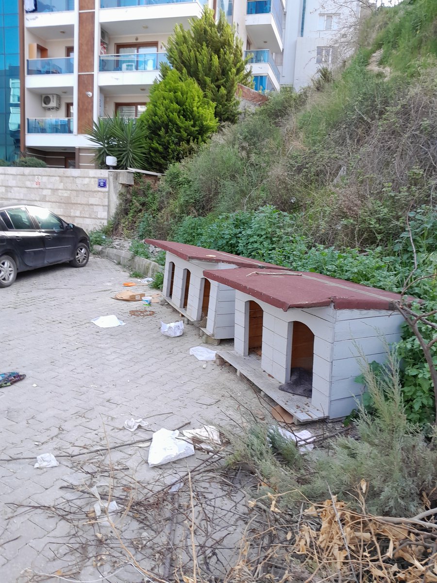 turhannekdar (@turhannekdar) on Twitter photo <a href="/RTErdogan/">Recep Tayyip Erdoğan</a> Aydın , Kuşadası, İkiçeşmelik her yer başıboş köpek dolu, sokağımız kulübe dolu kaldırmıyorlar, Cimerden cevap bile vermiyorlar <a href="/iletisim/">T.C. İletişim Başkanlığı</a> <a href="/RTErdogan/">Recep Tayyip Erdoğan</a> <a href="/RTErdogan/">Recep Tayyip Erdoğan</a> Aydın , Kuşadası, İkiçeşmelik her yer başıboş köpek dolu, sokağımız kulübe dolu kaldırmıyorlar, Cimerden cevap bile vermiyorlar <a href="/iletisim/">T.C. İletişim Başkanlığı</a> <a href="/RTErdogan/">Recep Tayyip Erdoğan</a>