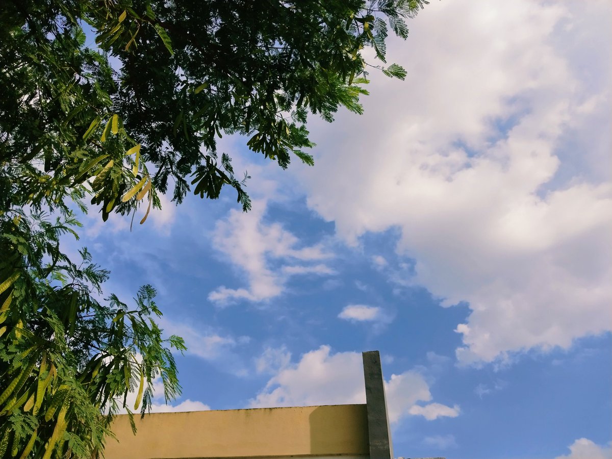 Si te encuentras este post deja tu fotito más linda del cielo tomada por tiii 
#fypviraltwitter #cieloshermosos #belleza #naturaleza #SiguemeYTeSigoCumplo #fypシ #paratiiiiiiiiiiiiiiiiiiiiiiiiiiiiiii