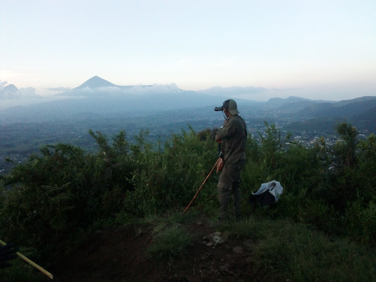 ExploreRda50's tweet photo. Hello fellow travellers 🧡
We are at the rich culture destinations btn @kanzenzesector & @NyakilibaSector
We are planning nature walk experience, 💚 Friday 5th July, will pass through #Ibere rya #Bigogwe to #Muramba #Muhungwe forest.
Are you ready 📞0788466624
#VisitRwanda https://t.co/vYMSP2TsX4