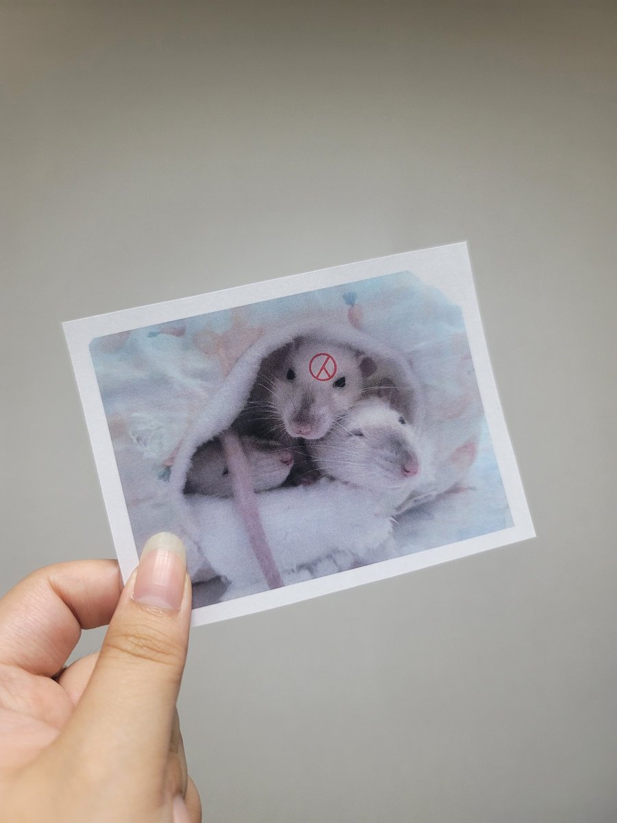 Differ_Eryu's tweet image. 투표를 했어요 (사전투표였지만)