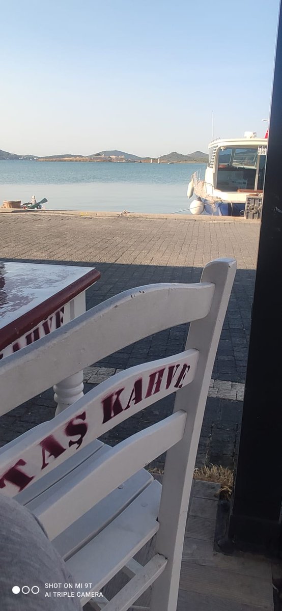 Aygunksk1912's tweet photo. #günaydın X im in güzel insanları ♥️💚 geçmiş olsun #deprem i yaşayanlara.
#ayvalık
#cundaısland
#taskahve
#salı https://t.co/PmmalJBmMo