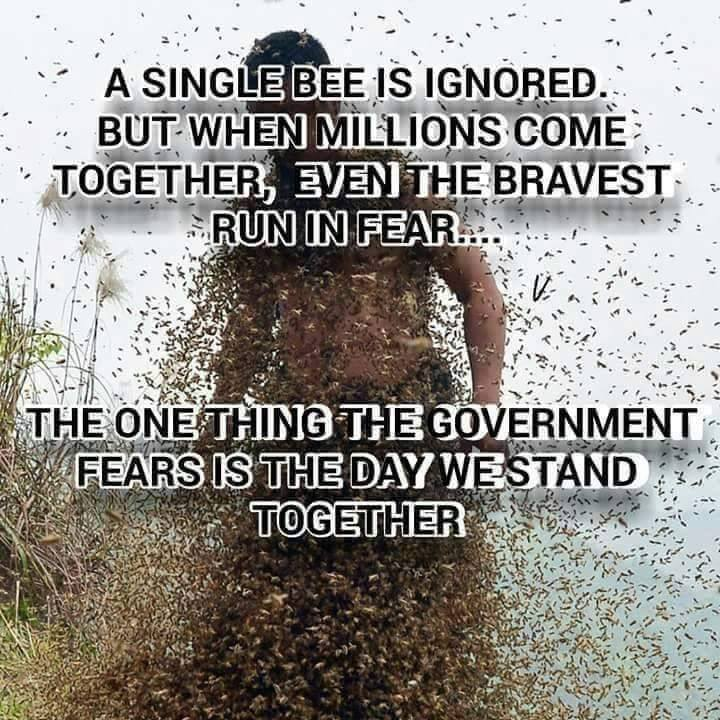 Matilda1212 (@matildarat12) on Twitter photo <a href="/goodfoodgal/">Melinda Richards π¦πΊπΊπΈ</a> One of my saddest realisations is that I always believed, as descendants from convicts & ANZACs, we were proudly defiant, rebellious & mate ship was important. Now I see there's less Ned Kelly & more Nanny State. Less Eureka Stockade & more #IStandWithDan Pathetic & disappointing <a href="/goodfoodgal/">Melinda Richards π¦πΊπΊπΈ</a> One of my saddest realisations is that I always believed, as descendants from convicts & ANZACs, we were proudly defiant, rebellious & mate ship was important. Now I see there's less Ned Kelly & more Nanny State. Less Eureka Stockade & more #IStandWithDan Pathetic & disappointing
