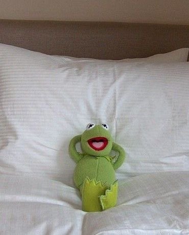 Rep biraz çox gələndə büründüyüm hallar (dəstəyə görə təşəkkürlər)
<a href="/GiveRep/">GiveRep</a> <a href="/ATTNtoken/">Attention 👁️</a>