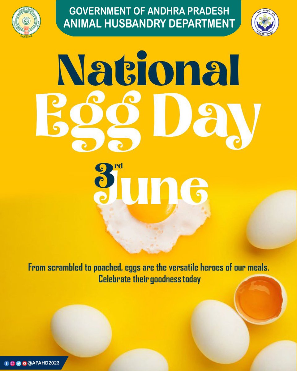 APAHD2024's tweet photo. On National Egg Day, let's celebrate the nutritional powerhouse that supports health, growth, and livelihoods
#AndhraPradesh #EggsForAll #ProteinForAll #SmartNutrition #DAHD #LivestockForLivelihood
#poultry https://t.co/MdmrB4g4iw