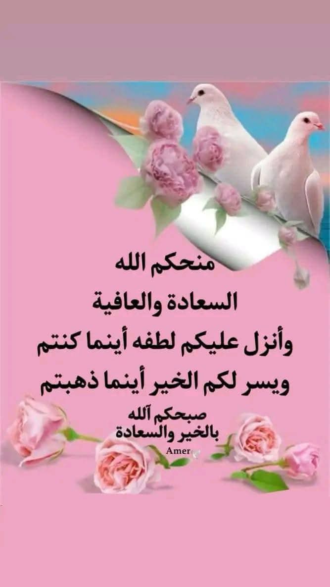 محمد منصور (@mmansourf16) on Twitter photo 