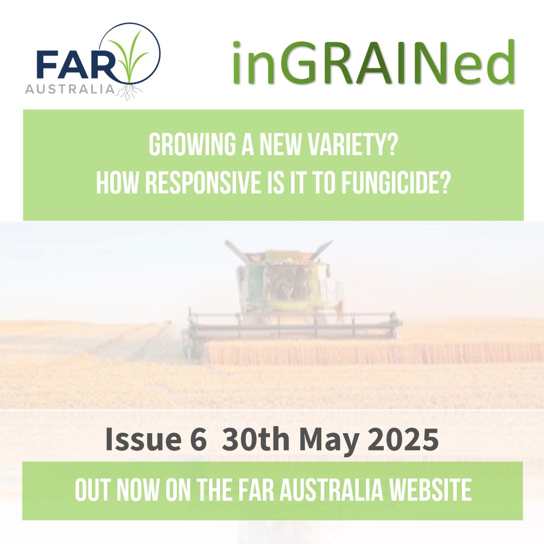 FAR Australia tweet media