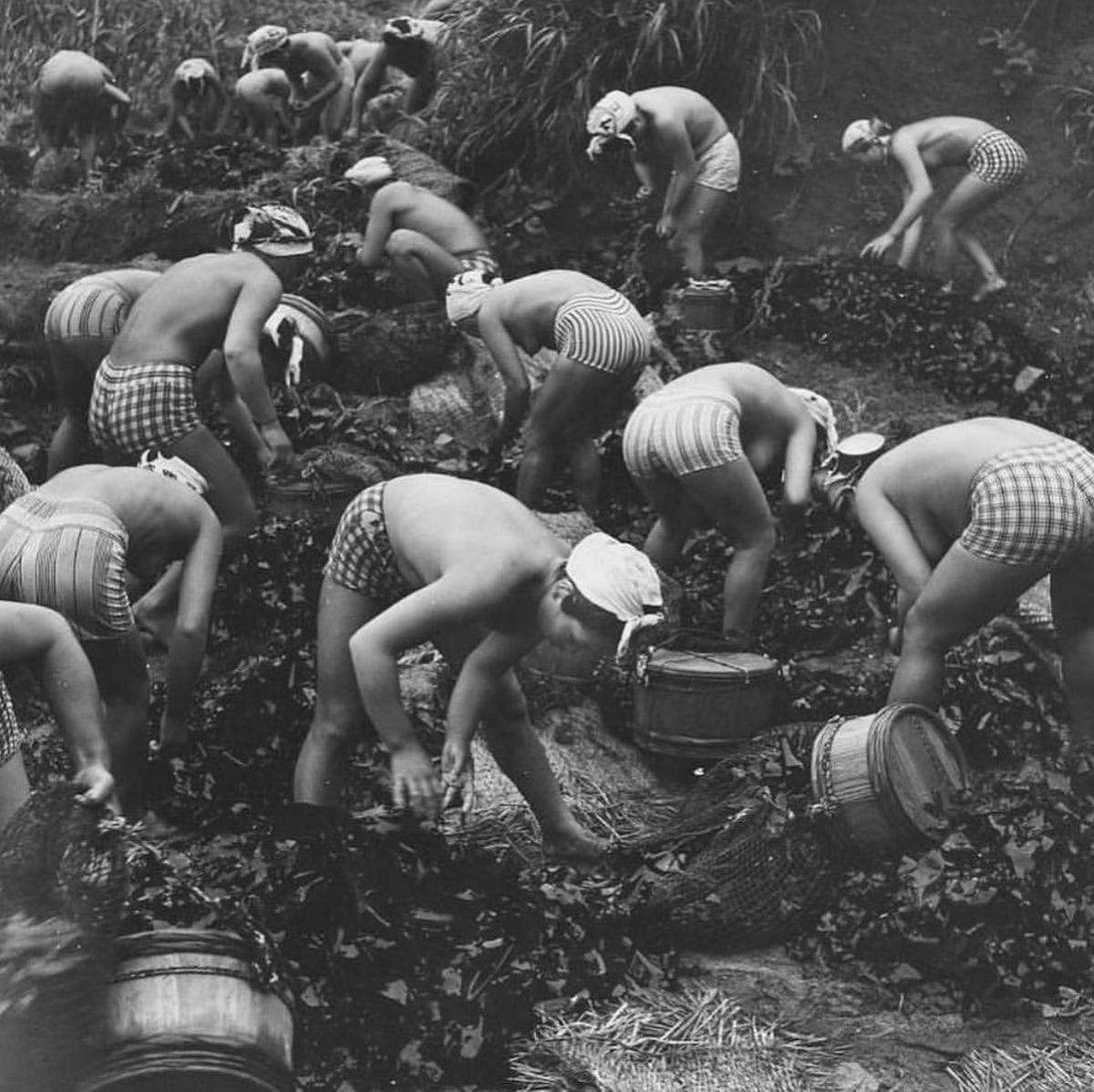 eyeonaxis's tweet photo. The Ama (sea women) a group of japanese divers famous for collecting pearls. https://t.co/y3JXuSWcpP