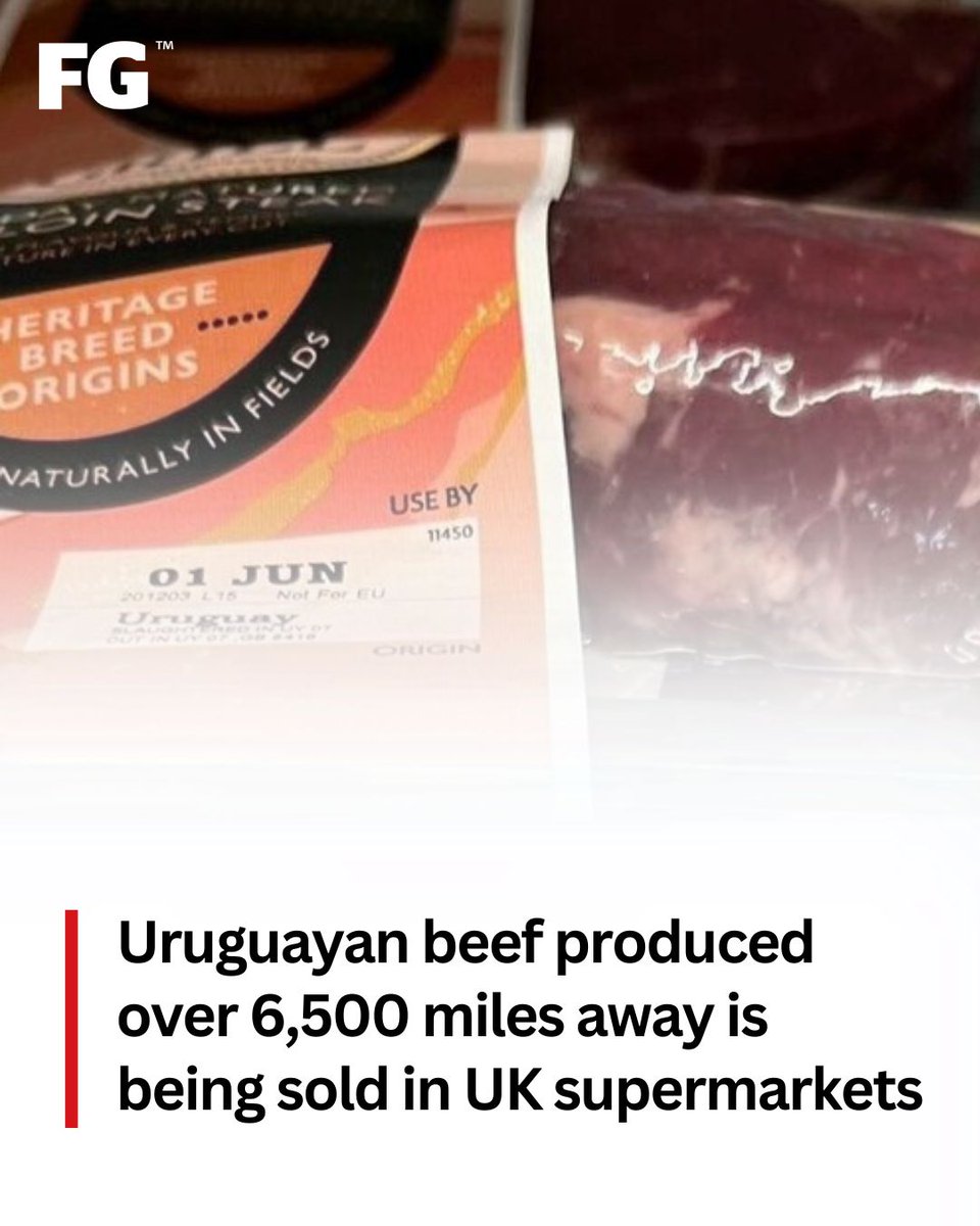 FarmersGuardian's tweet photo. 🗣️ Former NFU deputy-president Stuart Roberts, "Asda needs to explain not just to British farmers, but also to the British consumer, why on earth they think it is acceptable to start sourcing South American beef in their UK stores."

🔗 READ MORE: https://t.co/IW5CCdUkQn https://t.co/2TV2MTNZNA