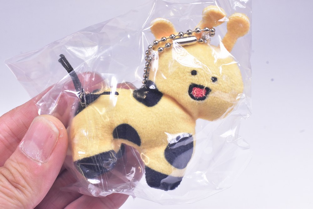 ✨新商品案内 2025年6月3日(火)✨／ ☑️どうぶつがたくさんぬいぐるみ