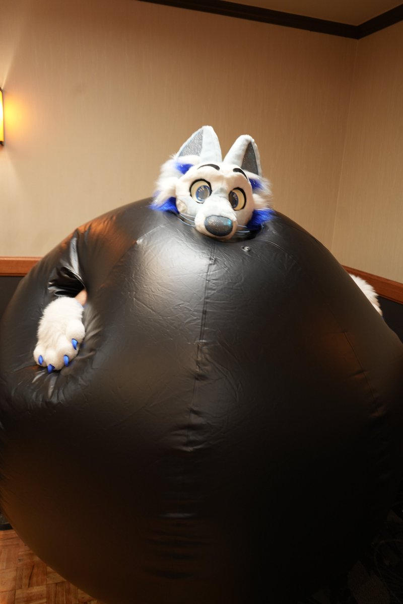 IndieTimber's tweet image. Last two pictures: @Chubbydigits_

🧵(2/3)