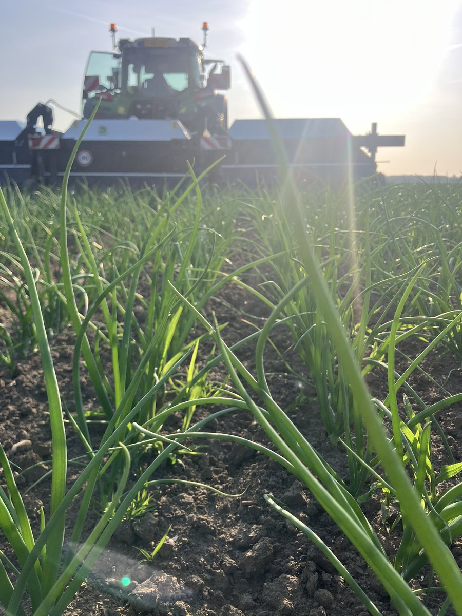 Met de spotsprayer pakken we het laatste (gras) onkruid, met ca 5% van de oppervlakte bespoten een mooie reductie. Mooi dat de nieuwe techniek ons kan helpen.