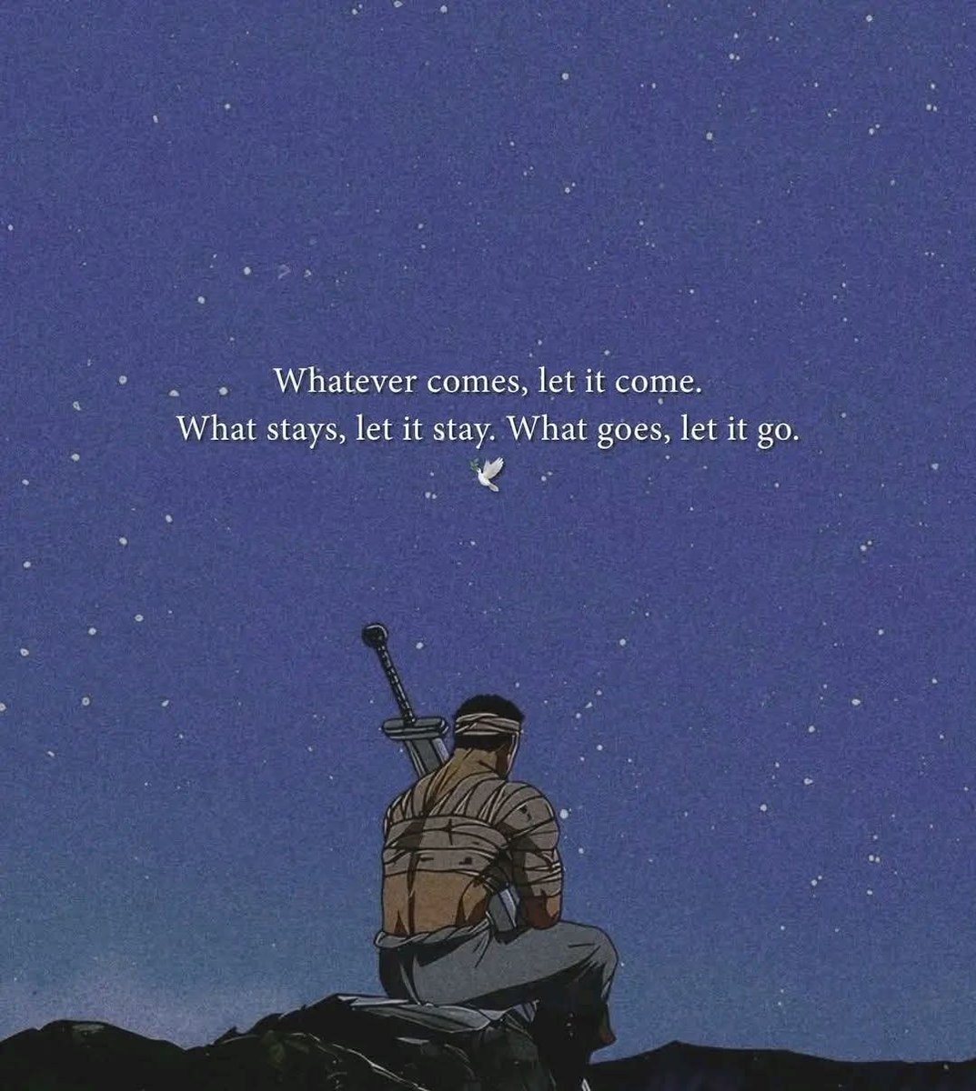 SAS 🇵🇰🇦🇪 (@sarfarazsh85) on Twitter photo 