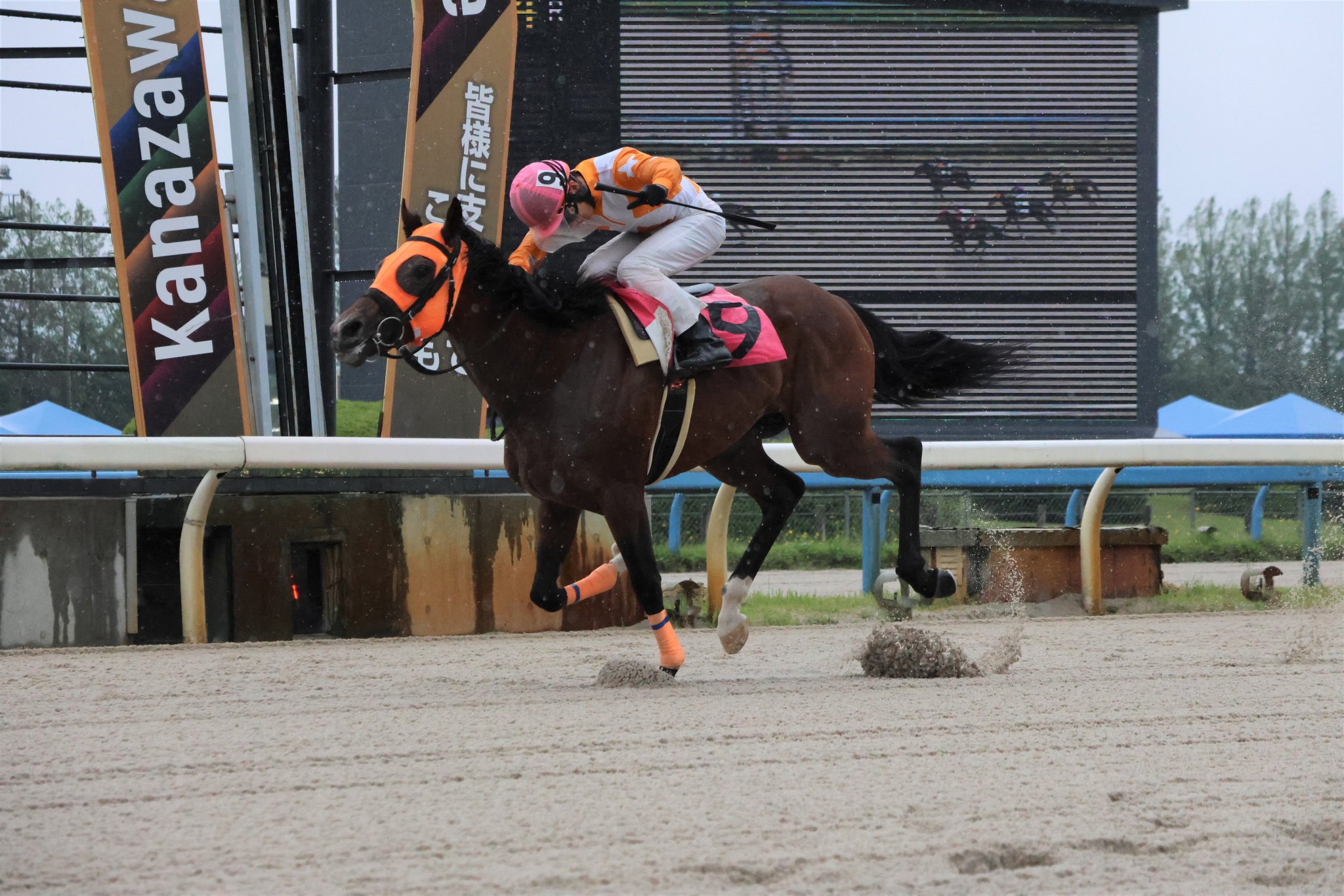競馬　騎手カード　42枚 Yahoo!オークション -「victoryカード」(競馬) (トレーディング
